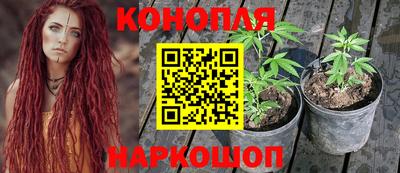 гидропоника Можга