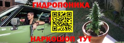гидропоника Можга