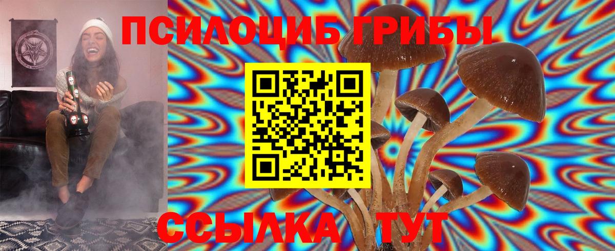 хочу наркоту  Псилоцибиновые грибы Psilocybe  Вход с VPN  Видное 